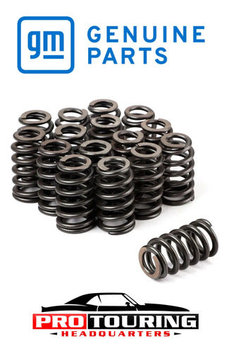 Árbol de Levas Texas Speed TSPLL212218112/GMSPRINGS/SEALS/OEMPUSHRODS Chevrolet GMC 4.8